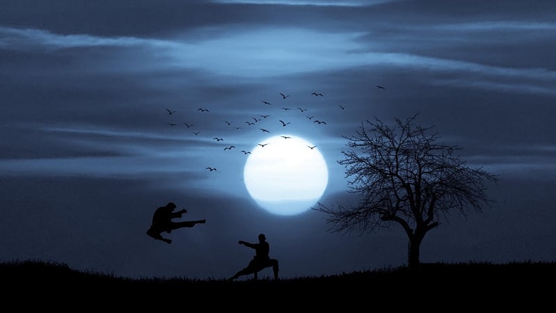 Sun Style Martial Art